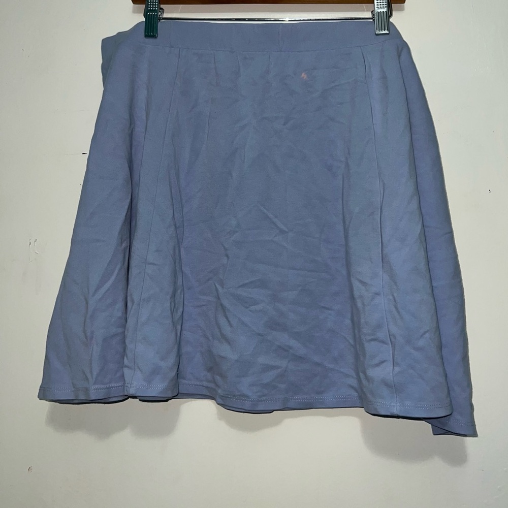 Baby Blue Women's Skater Skirt
